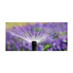 Tobera Rain Bird 18 VAN