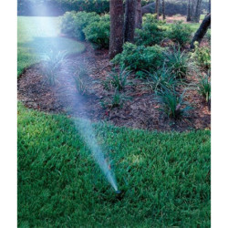 Aspersor Rain S050 S