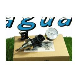 Regulador de presión RGPE de Rain